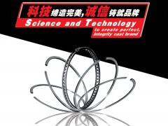 前彩6   安力信活塞工业有限公司