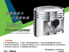前彩7   安力信活塞工业有限公司