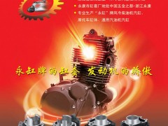 前彩8   永康市缸套厂