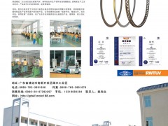前彩26  清远市万里丰活塞环有限公司