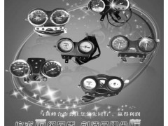 21  顶峰仪表