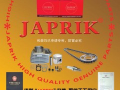 后彩22  德国格茨动力零部件企业国际发展有限公司