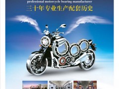 后彩24  重庆市新超力轴承有限公司