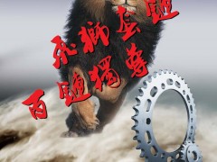 后彩67  重庆市飞狮动力机械有限公司