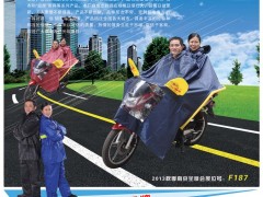 后彩87  醴陵龙辉雨具厂