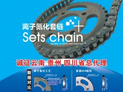 后彩100 广州伟龙动力机车部件有限公司